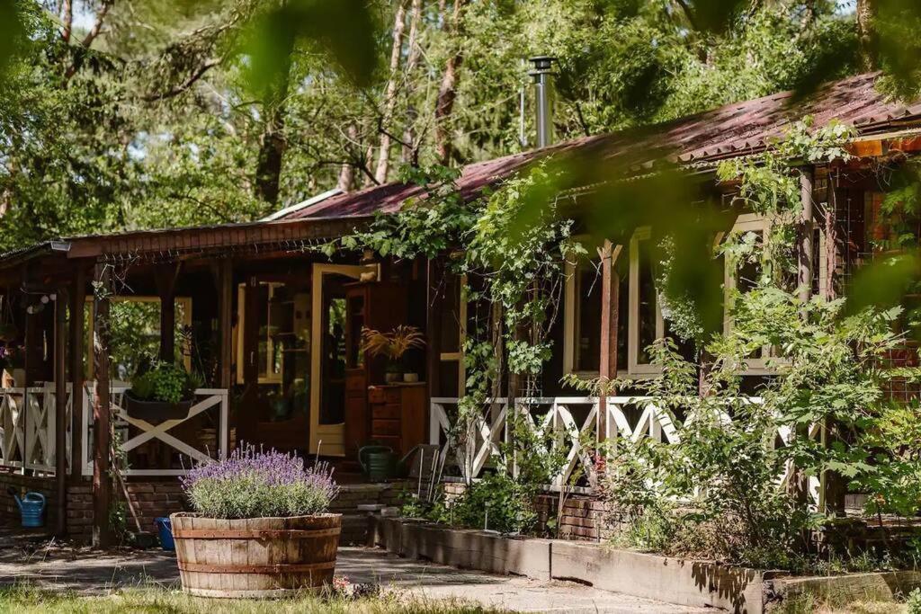 Forest Cottage With Lovely Garden & Sauna Doornspijk Eksteriør billede