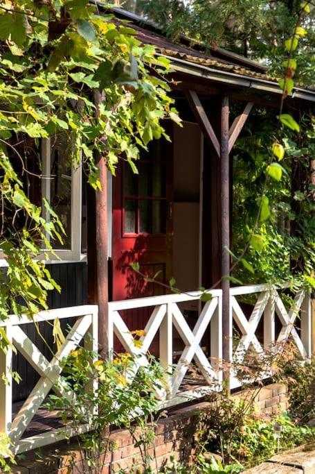 Forest Cottage With Lovely Garden & Sauna Doornspijk Eksteriør billede